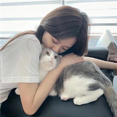美人攻略