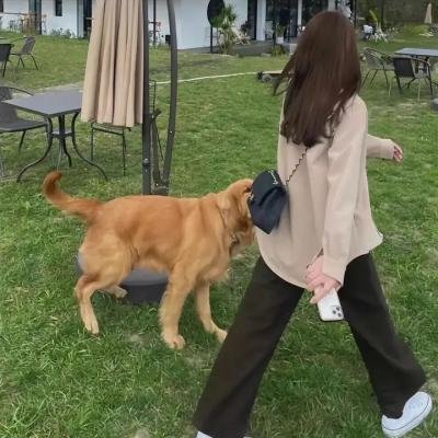 新闻记者